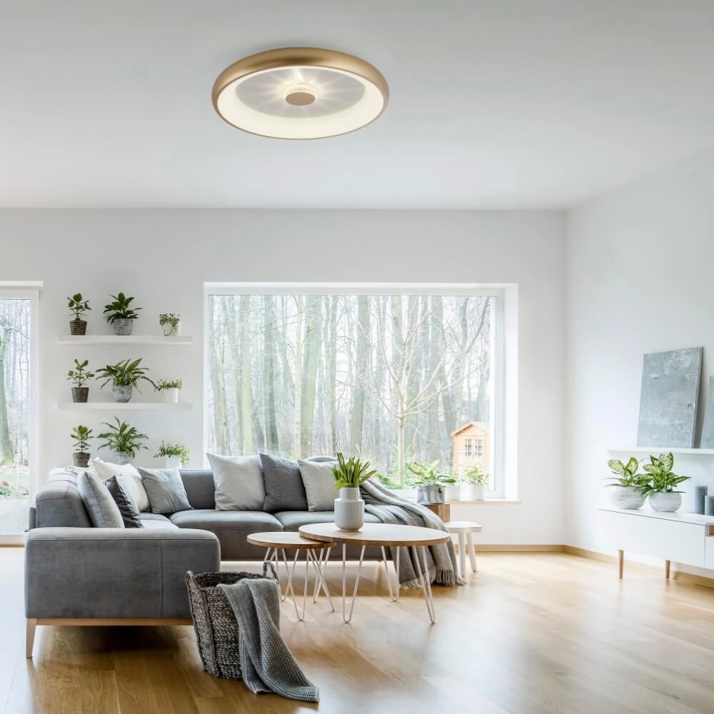 Round ceiling lamp Vertigo brass Ø 61.5cm Just Light 4043689995096