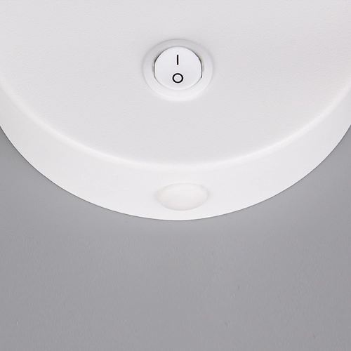 Wall light Taryn white with switch Trio 4017807685688