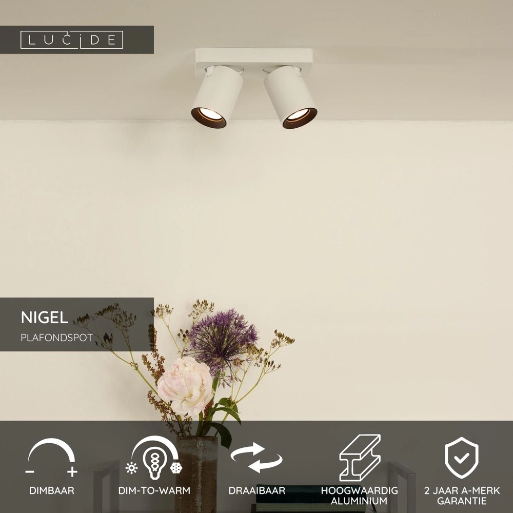 Ceiling spotlight Nigel 2-light white Lucide 5411212092564