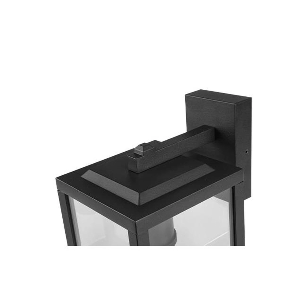 Black outdoor lamp Lidio with glass Lyora 5904703009795