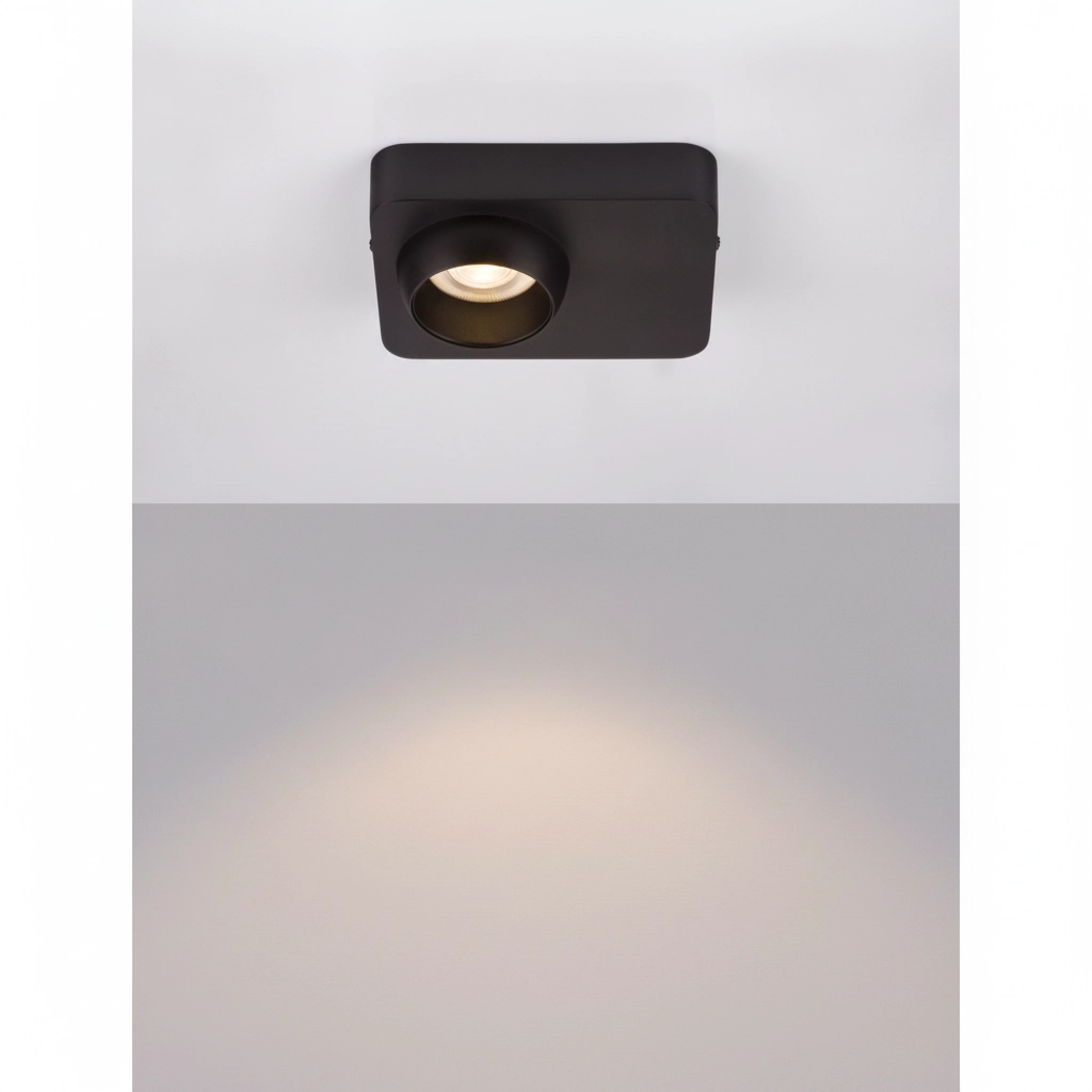 Ceiling lamp Kedros black