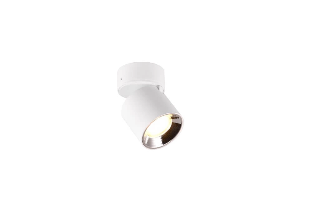 Ceiling light Guayana white Trio 4017807573923