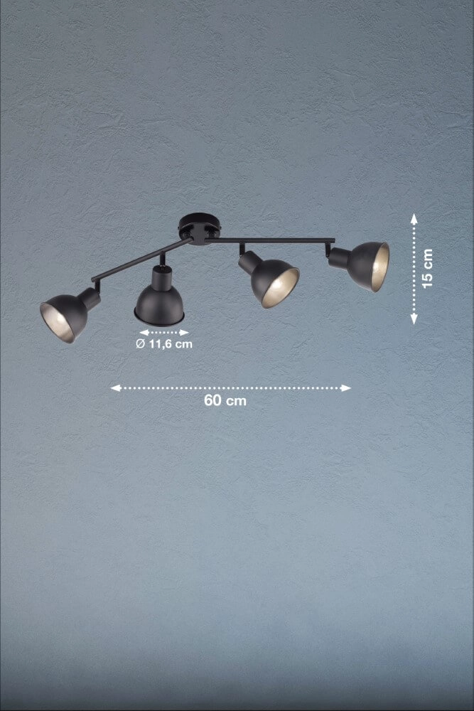 Adjustable ceiling spotlight Speedy Matt black Fischer & Honsel 4003694212489