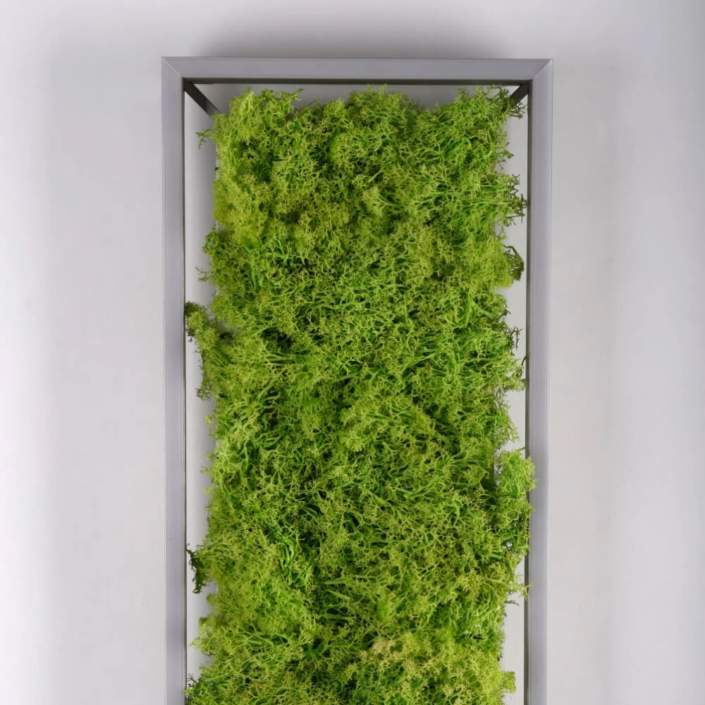 Rectangular ceiling lamp Green Knut with moss Just Light 4043689994846