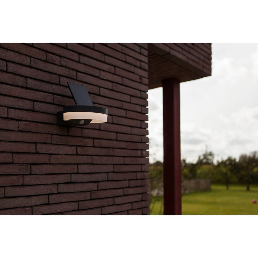 Outdoor Sensor Lamp Runda Solar powered Lutec 6939412016337