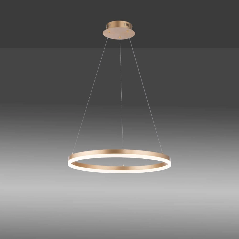 Modern pendant lamp Titus Ø 60cm antique brass Paul Neuhaus 4012248362853