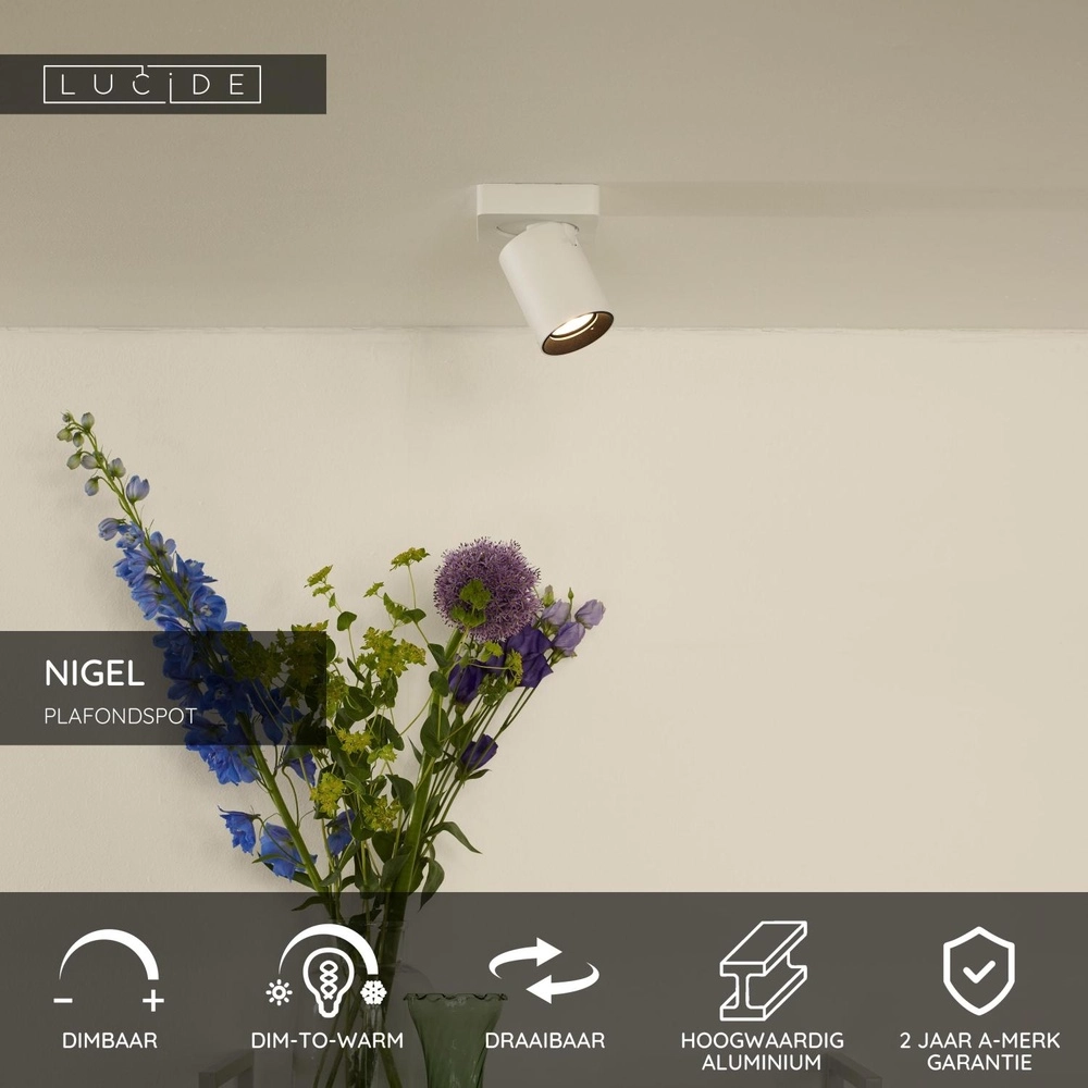 Ceiling spotlight Nigel white Lucide 5411212092540