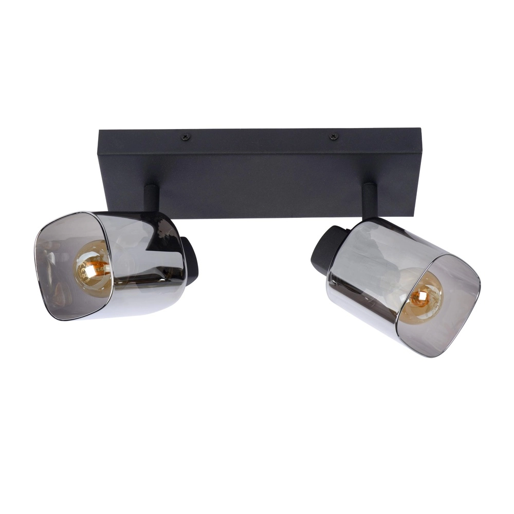 Ceiling lamp Alion 2-light black with smoke glass