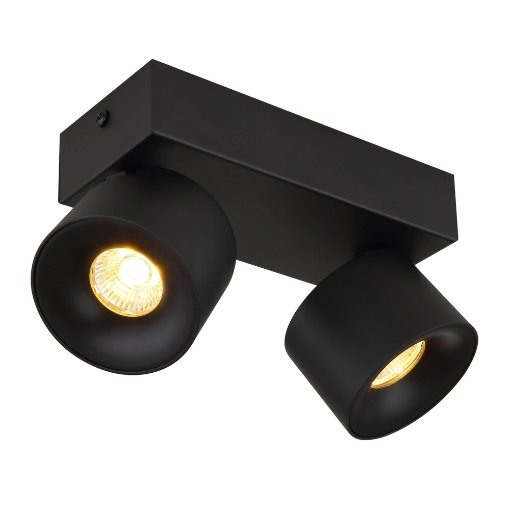Sleek ceiling lamp Rae 2-light black