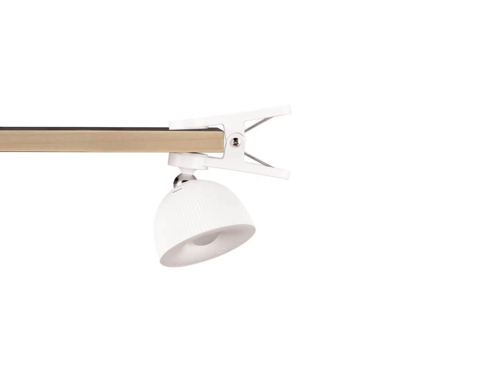 Multifunction light Maxima white Trio 4017807601954