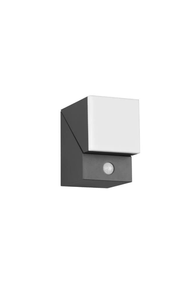 LED wall lamp Avon with motion sensor Trio 4017807529135