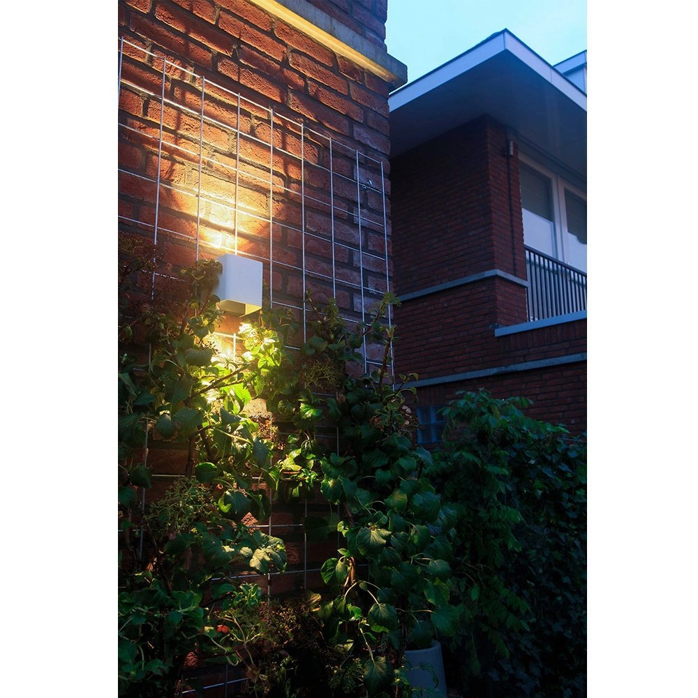Wall spot Ace Up-Down White 12 volt LED In-lite 8717051003783