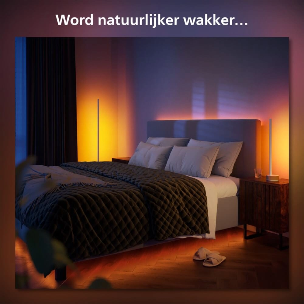 Smart floor lamp Hue Signe - White and color Philips 8719514433526