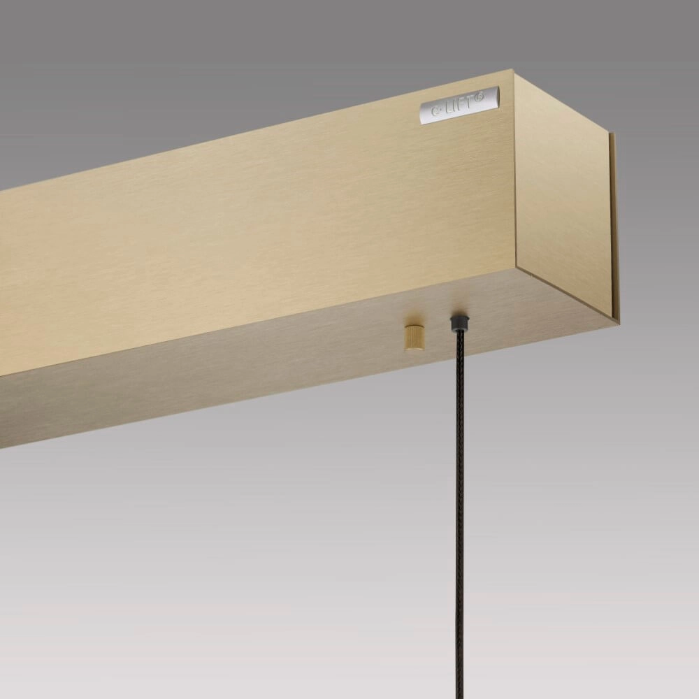 Design hanging lamp Pure E-Motion brass Paul Neuhaus 4012248372913