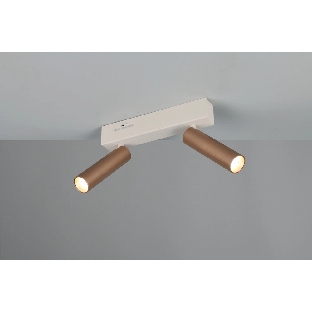2-light surface-mounted spotlight Ambala mocha brown Trio 4017807656084