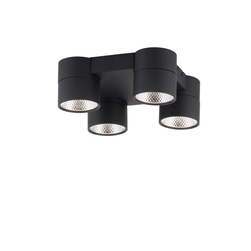 Ceiling lamp Pure Nola 4-light black Paul Neuhaus 4012248372012