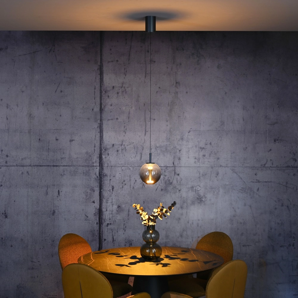 Led pendant light Pure Infinity with smoke glass - Ø 18cm Paul Neuhaus 4012248399033