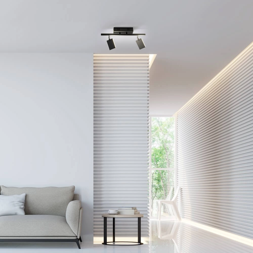Ceiling lamp Pure Mira 2-light black Paul Neuhaus 4012248359433