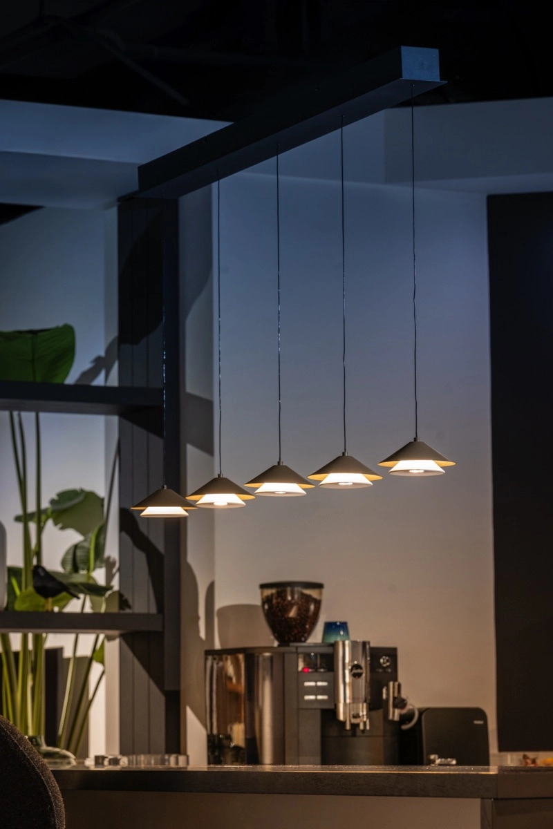 Dining room led pendant light Jens 5x LED ETH 8720195311447