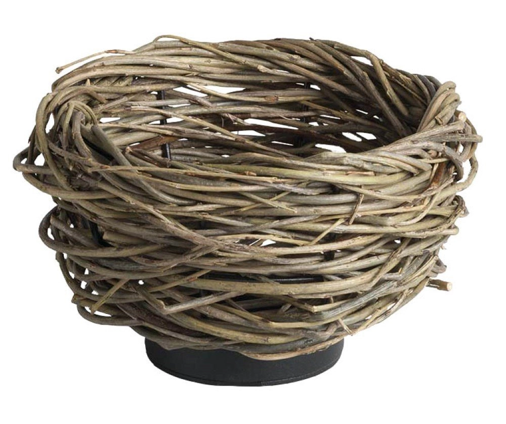 Nest Ground spot