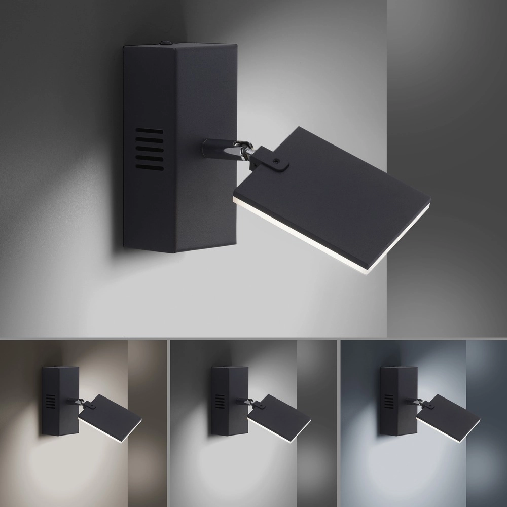 Led wall lamp Pure Mira Switch - Black Pearl Paul Neuhaus 4012248359426
