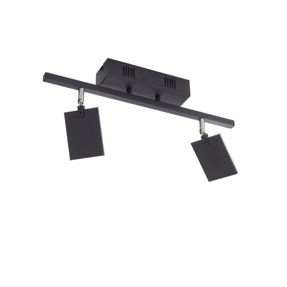 Ceiling lamp Pure Mira 2-light black