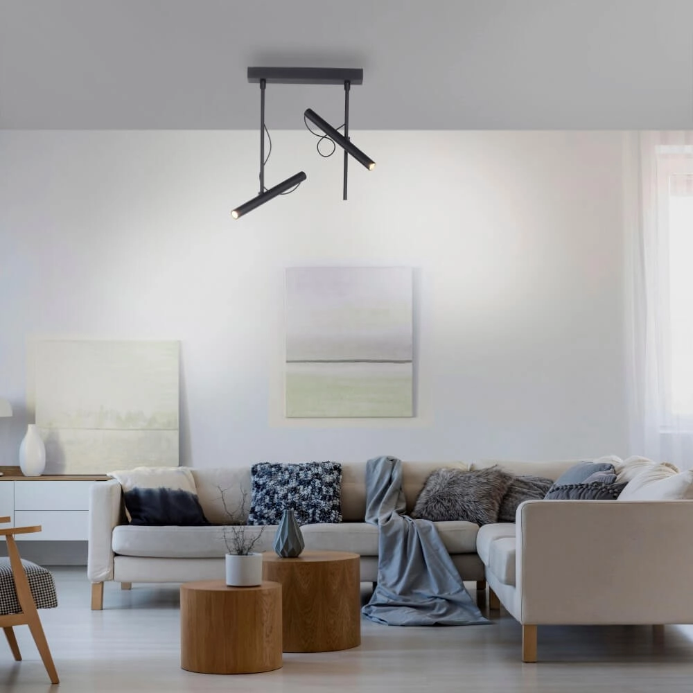 Designer ceiling lamp Pure Tutua black Paul Neuhaus 4012248365533