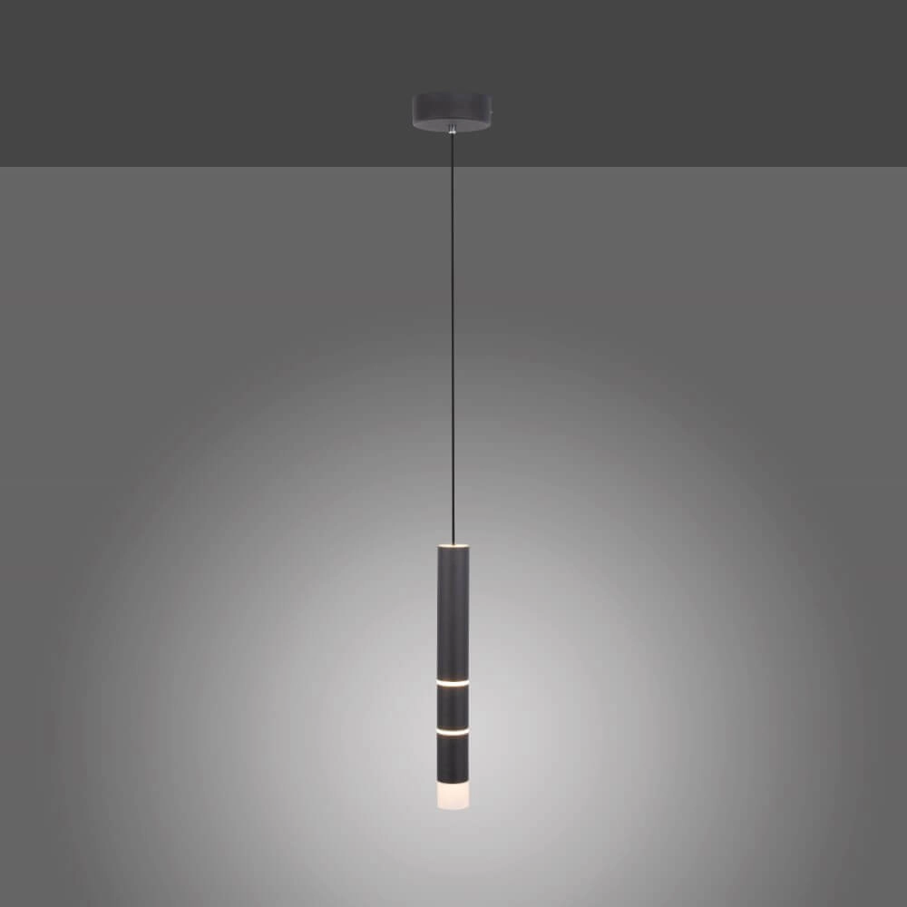 Black hanging lamp Pure Vega 3000K Paul Neuhaus 4012248357514