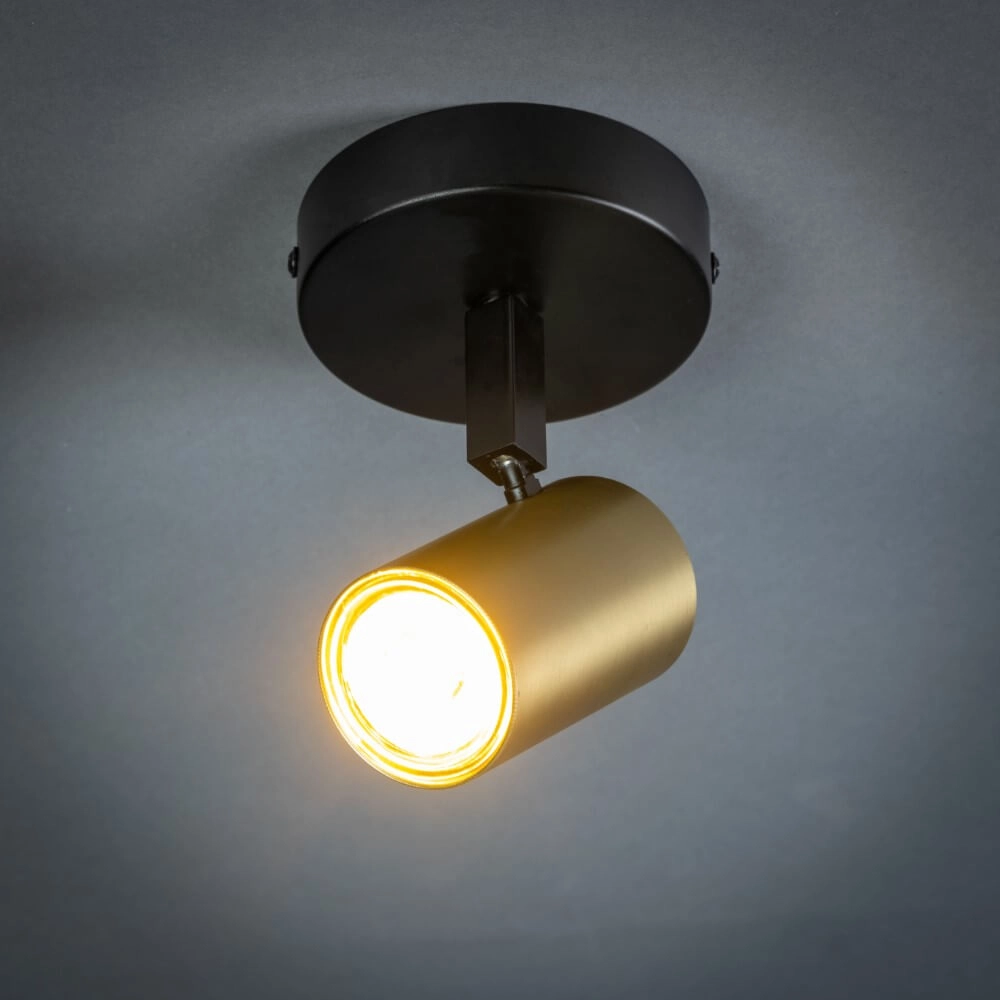 Single surface-mounted spotlight The Common black with gold ETH 8720195304289