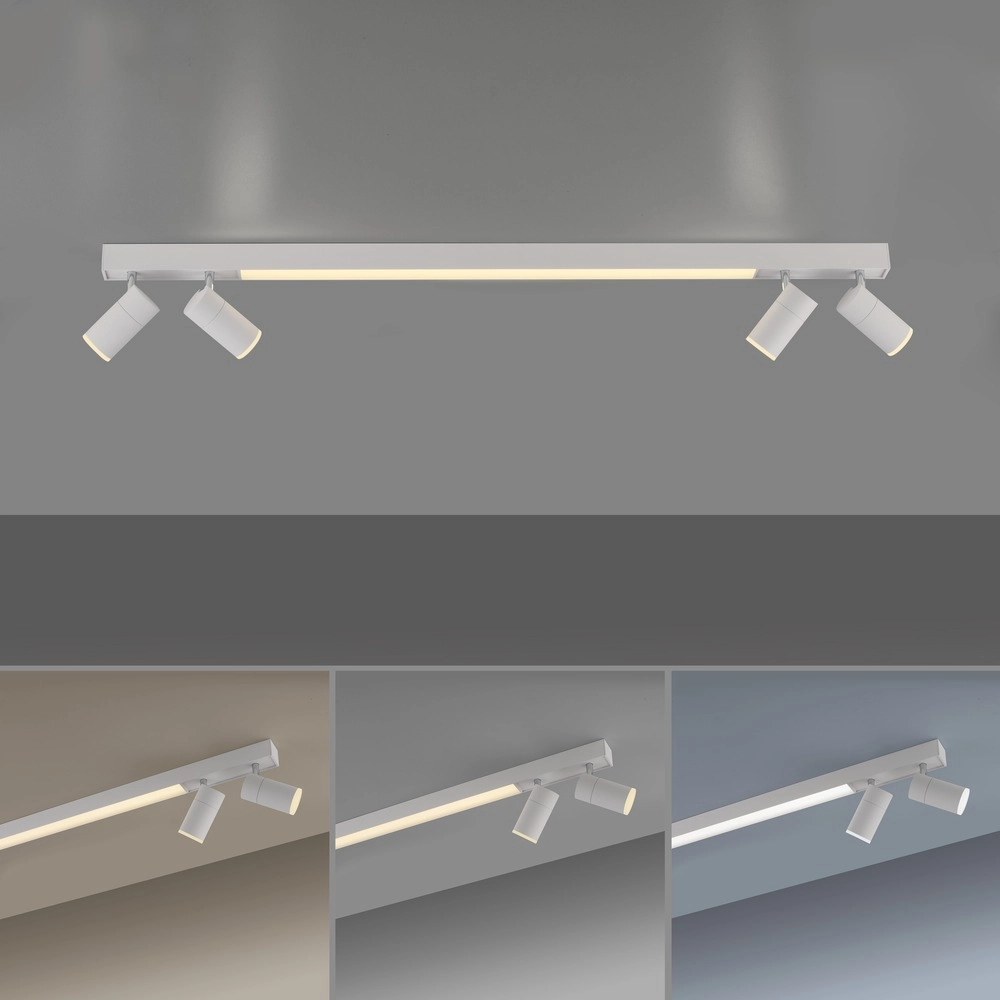 Ceiling surface-mounted spot Pure Lines Spot 110cm - white Paul Neuhaus 4012248395837