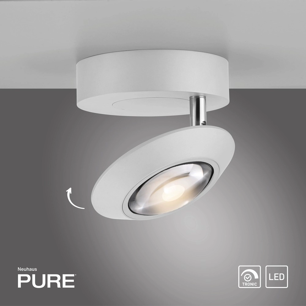 Led ceiling spot Pure Oculis white Paul Neuhaus 4012248397046