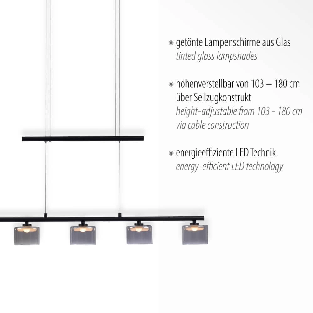 5-light pendant lamp Hydra black Paul Neuhaus 4012248364970