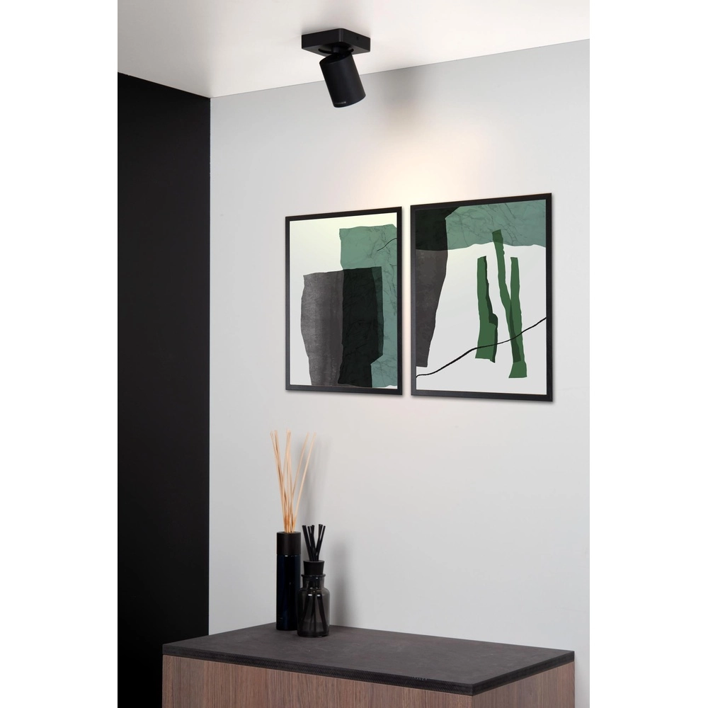 Ceiling spotlight Nigel Black Lucide 5411212092533