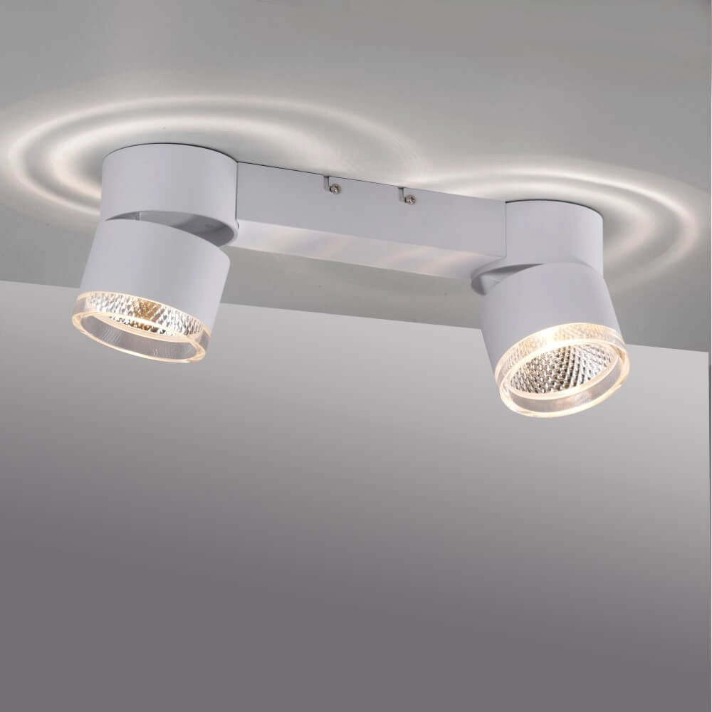 White ceiling lamp Pure Nola 2-light Paul Neuhaus 4012248374542