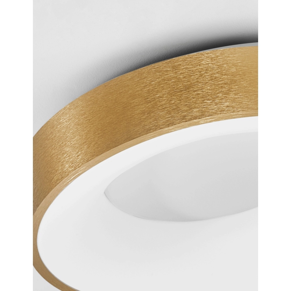 Ceiling lamp Rando Thin gold Ø 38cm Lyora 5212017420046