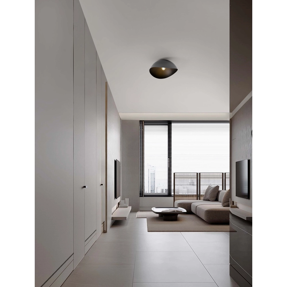 Ceiling lamp Opsi black Ø 50cm Lyora 5212017458018