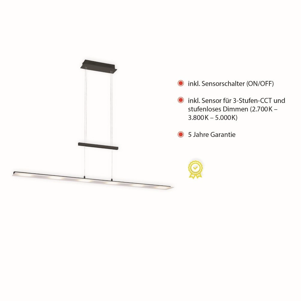 LED hanging lamp Nele Just Light 4043689969462
