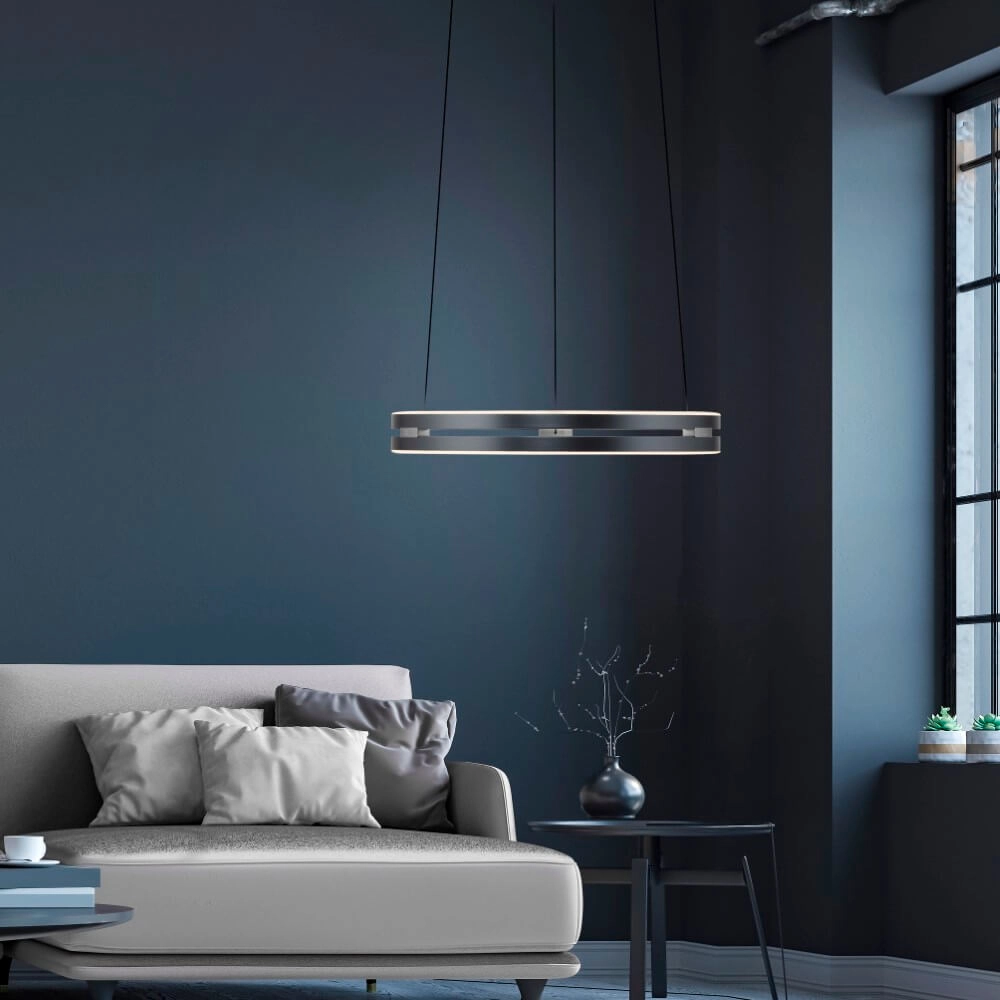 Sleek hanging lamp Pure E-Loop gray Paul Neuhaus 4012248372258