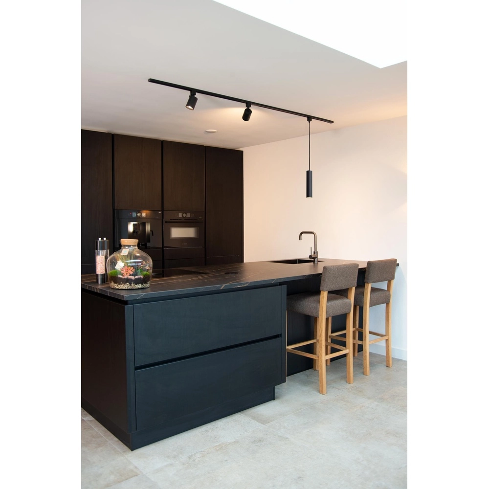 Rail pendant light Track Floris 1-phase black Lucide 5411212093370