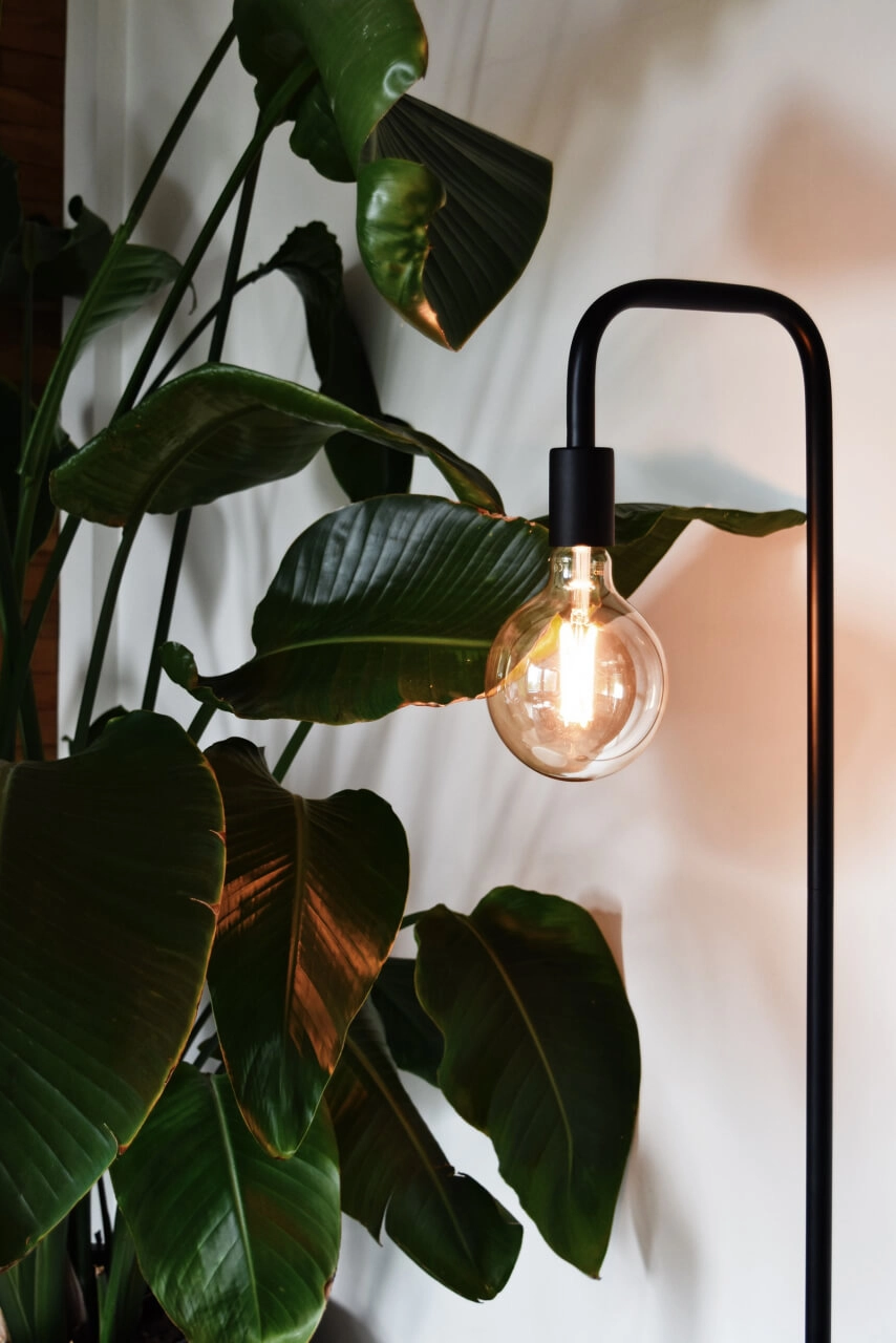 Black floor lamp Calexa Circle 8712879147398