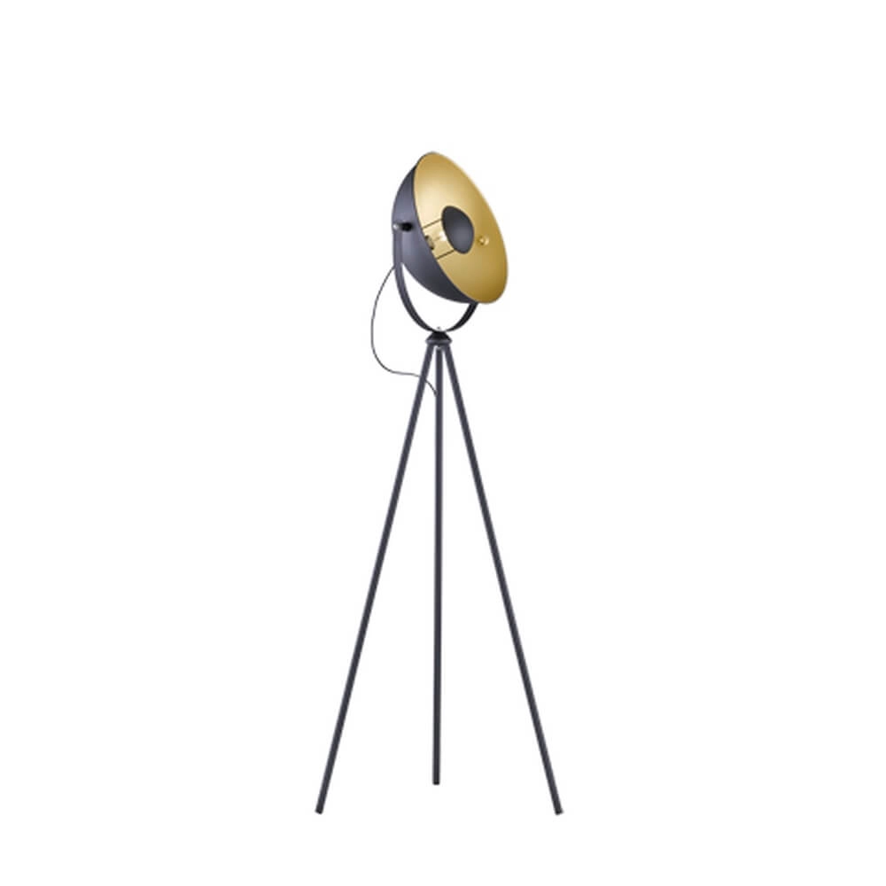 Tripod floor lamp Chewy