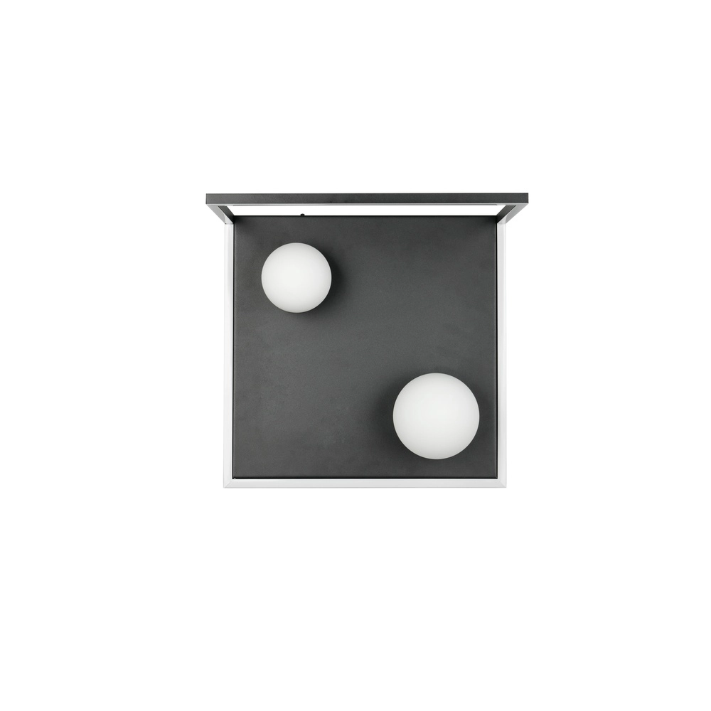 Design ceiling lamp Arola Black Trio 4017807683578