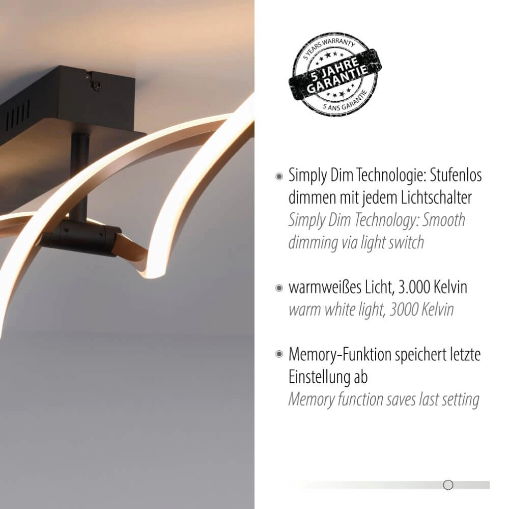 Design ceiling lamp Polina 106cm Paul Neuhaus 4012248371725
