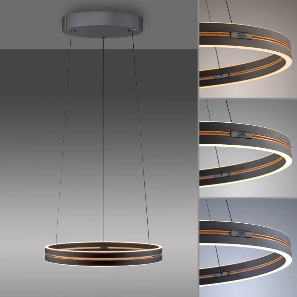 Sleek hanging lamp Pure E-Loop black Paul Neuhaus 4012248386224
