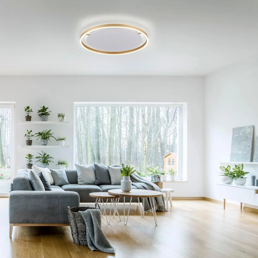 Ceiling lamp Ritus brass Ø 58.5cm Just Light 4043689985639