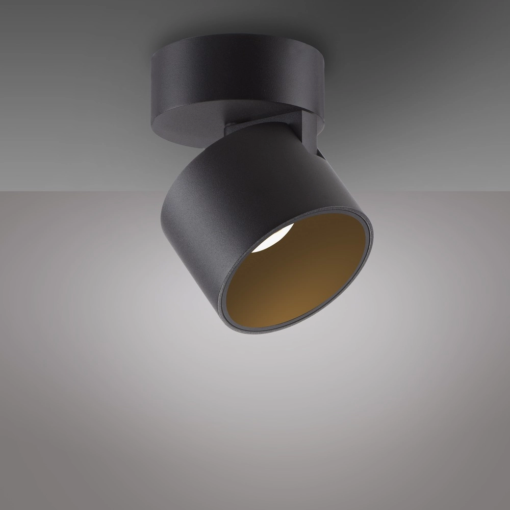 Sleek surface-mounted spot Pure Cup black pearl Paul Neuhaus 4012248395585