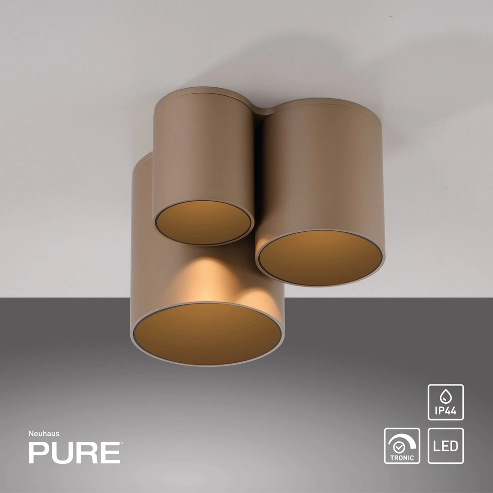 3L ceiling light Pure Point Bronce Paul Neuhaus 4012248395721