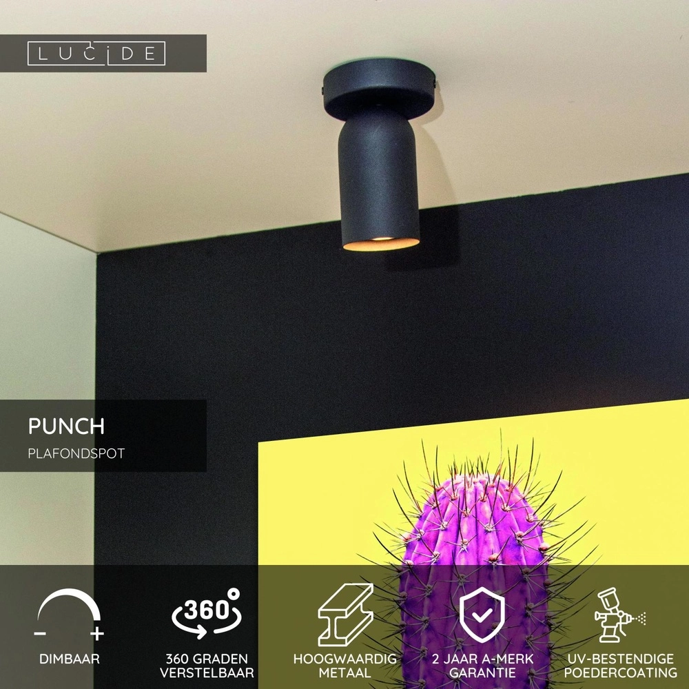 Ceiling spotlight Punch Single Black Lucide 5411212134318