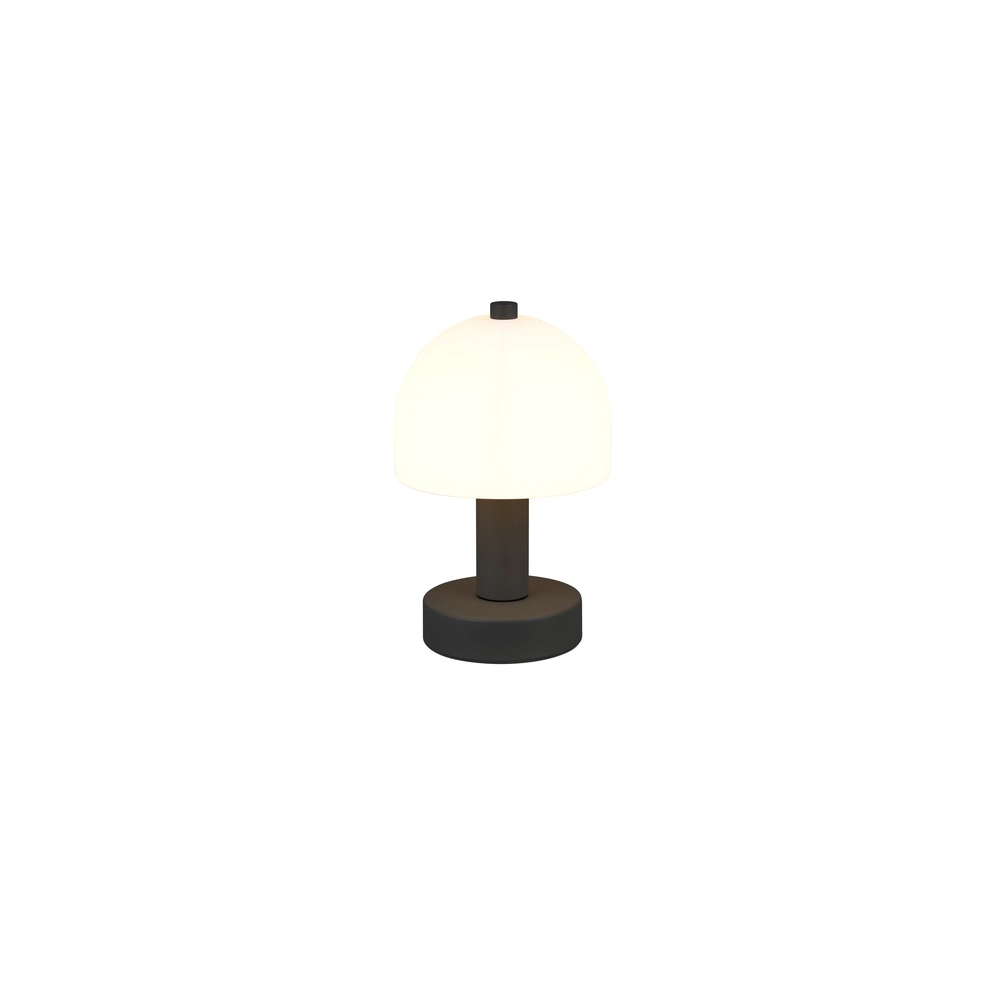 Sleek table lamp Glenn black Trio 4017807613605