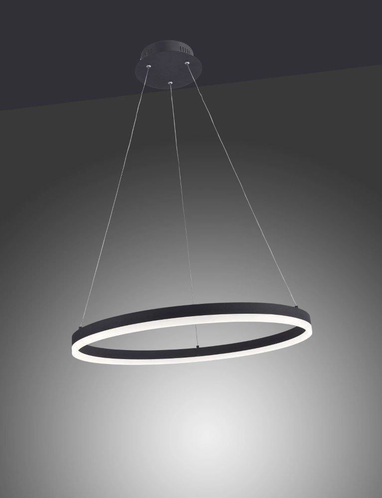 LED hanging lamp Titus Ø 60cm Paul Neuhaus 4012248305157